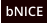 bNICE